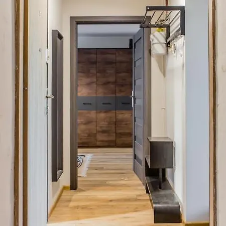 公寓 U Basi 格但斯克